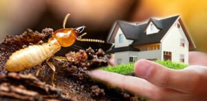 no 1 termite pest control philippines