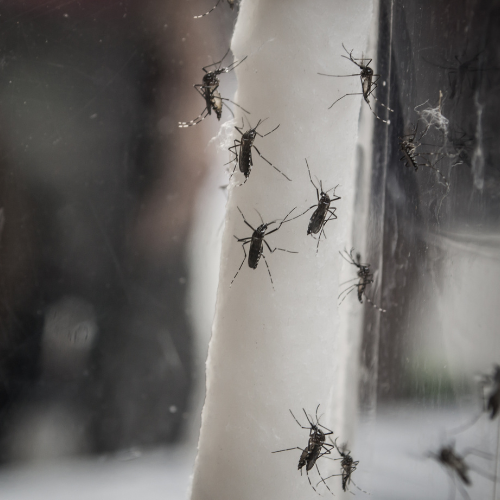 untitled design 2026 01 14t132840.556