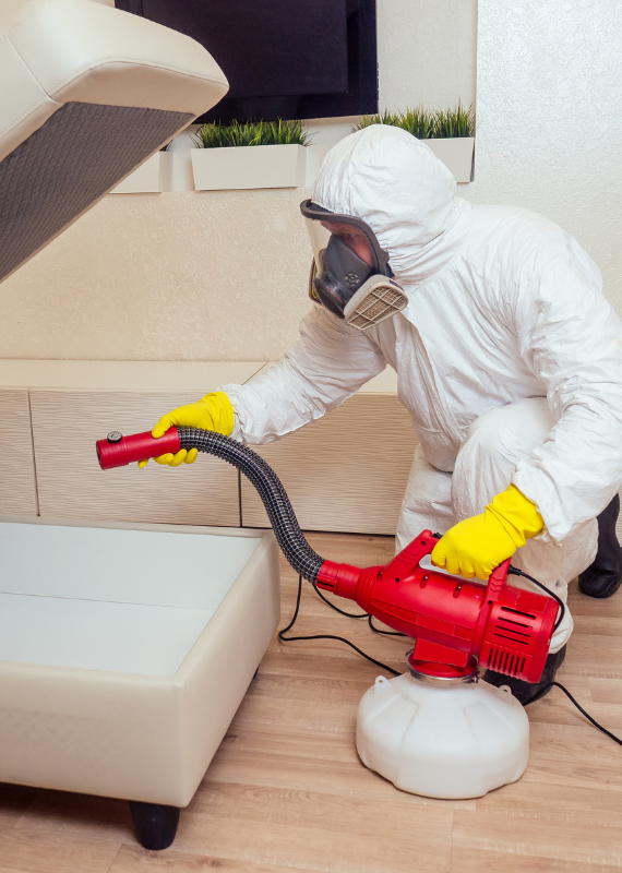 untitled design 2026 01 14t141354.987