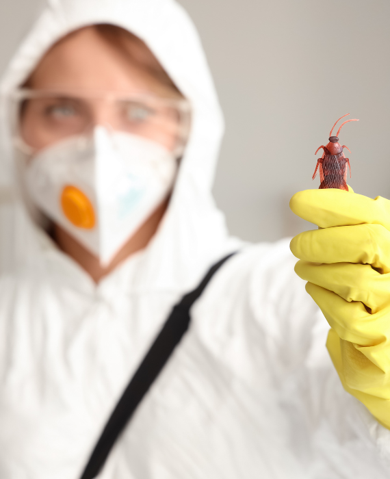 Pest Control Service in Greater Kailash