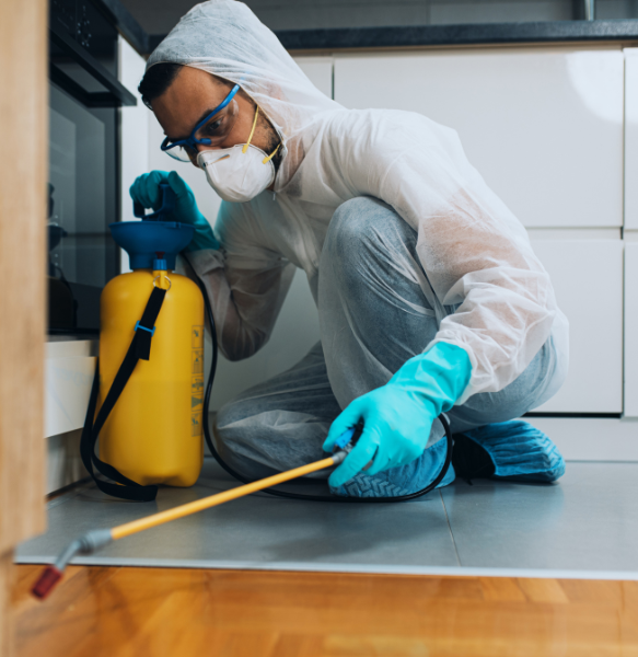 Pest Control Service in Dilshad Garden