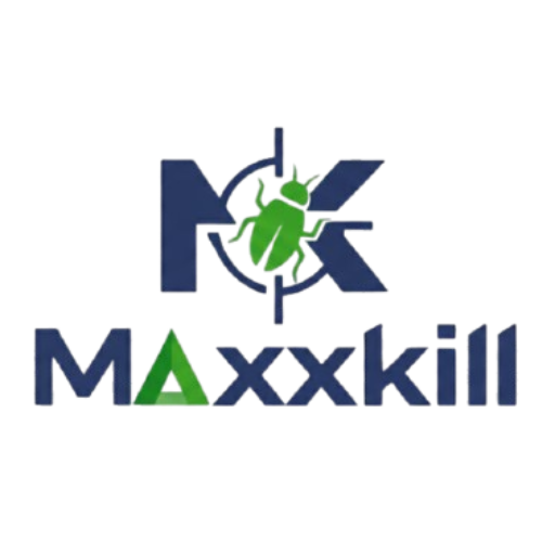 whatsapp image 2026 02 17 at 17.13.47 removebg preview